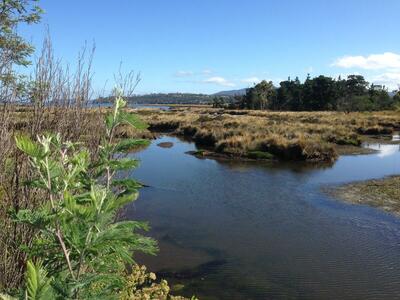 view of the estuary