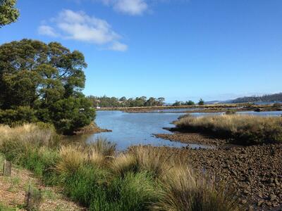 view of the estuary