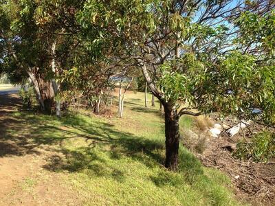 view along the esplanade