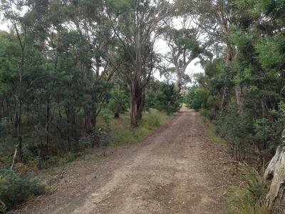 looking along the track