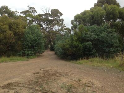 looking along the track