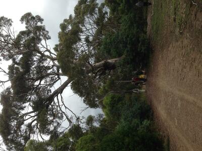 looking along the track
