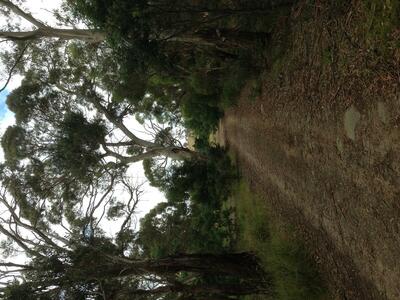 looking along the track