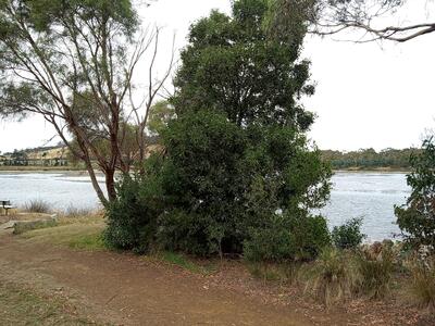 views along the walk