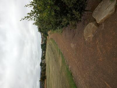 view along the walking track