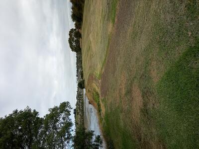 view along the walking track
