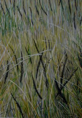 painting of native grass