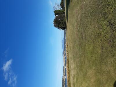 cleared and mowed esplanade