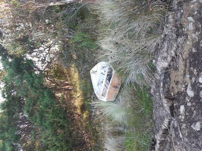 old boat on the foreshore