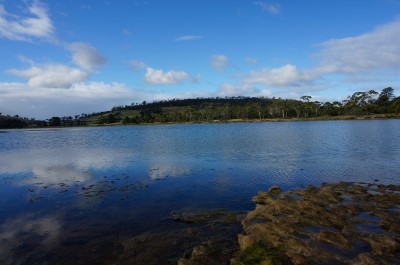 looking across Vicarys Rivulet Estuary to Pelican Park